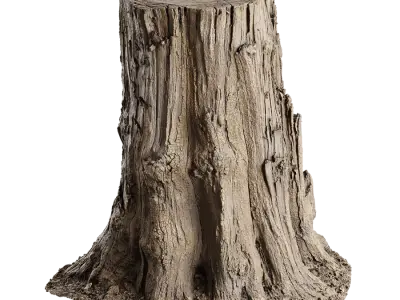  Medium Cut Splintered Stump Model 