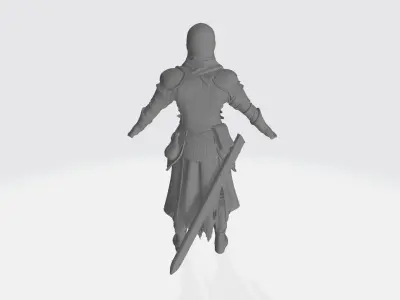 Knight ninja warrior 3D model