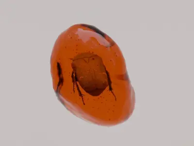 Insects in amber asset collection 3D model