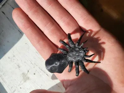 Skull Spider Free 3D print model