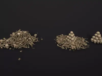 Broken Skulls with Spider Webs COLLECTION Low-poly 3D model