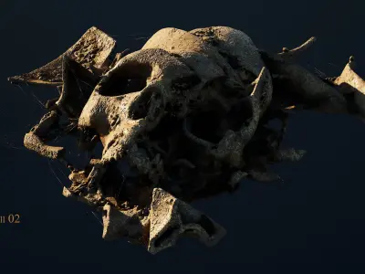 Broken Skulls with Spiderwebs and Cobwebs for Unreal Engine 5 3D model
