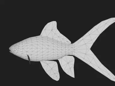 Goldfish Low-poly 3D model buy