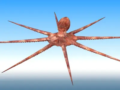 Octopus Rigged 3D model purchase