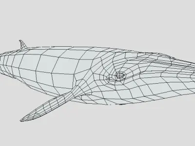 Low Poly Whale Game Asset Low-poly 3D model