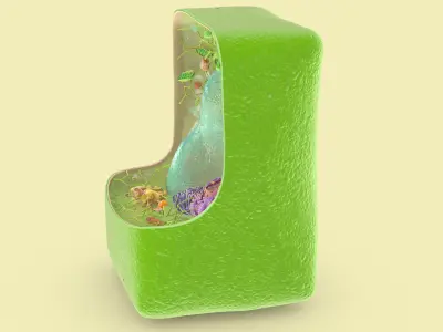 Plant Cell Structure 3D model