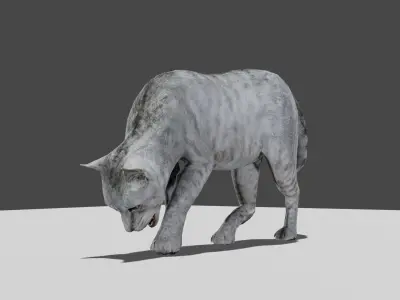 Heterochromia Cat Rigged Low-poly 3D model