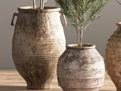 indoor plant set 16 3D model