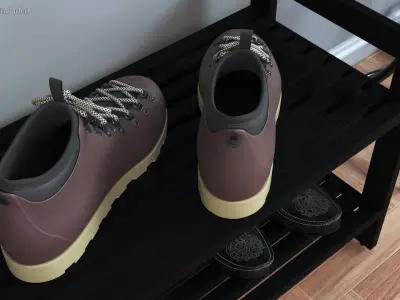 Trail Boots 3D model