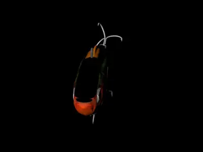 clack and rap  Rapala Crank bait 3D model