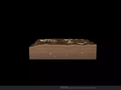 Stylized Fossil Dig Site - Skeleton Remains - AI Low-poly 3D model