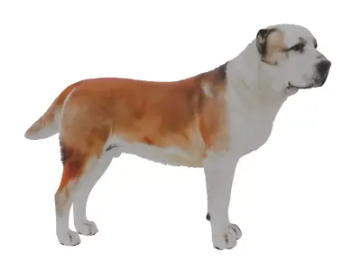 Alabai Dog Low-poly 3D model