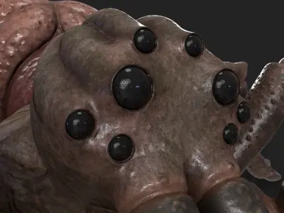 Spider Rigged and Animated Low-poly 3D model