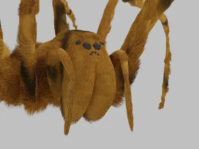 the gigant spider Low-poly 3D model