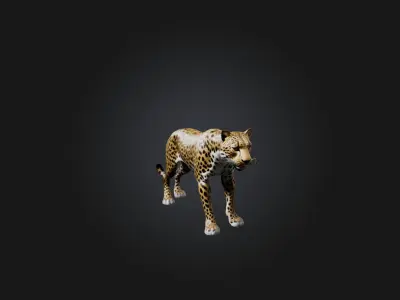Realistic Leopard Model Low-poly 3D model