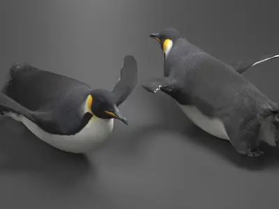  Belly Gliding Emperor Penguin Fur 