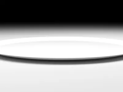 Large Plate 3D model