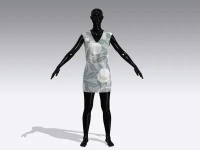 Woman Cloth Dress Low-poly 3D model