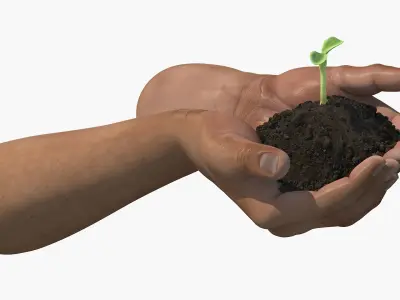  Hands Holding Seedling 