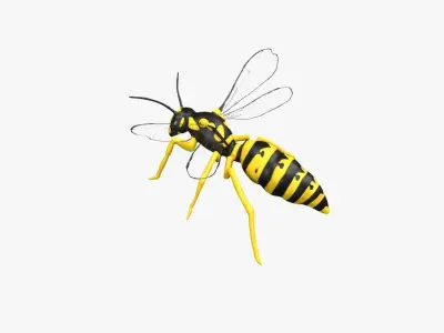 Wasp Hornet Low-poly 3D model