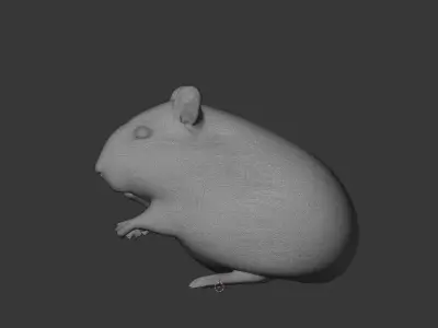 Hamster 3D Scan Print Miniature 3D model