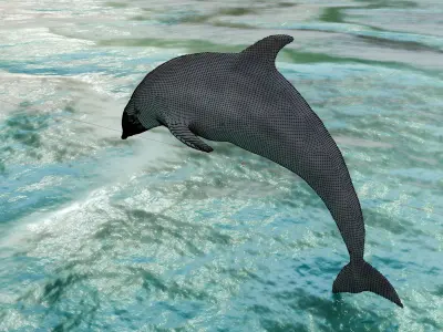 Dolphin Low-poly 3D model purchase