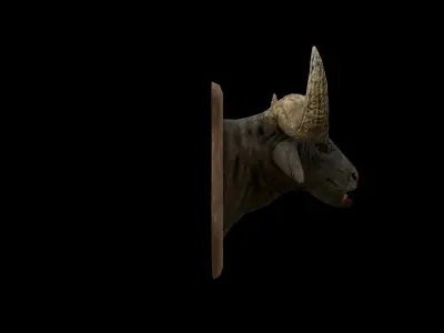 Buffalo Head - PBR - Textured Low-poly 3D model