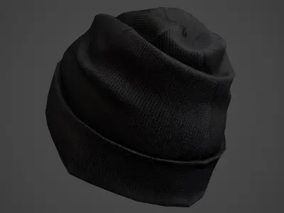 Winter Hat 3D model