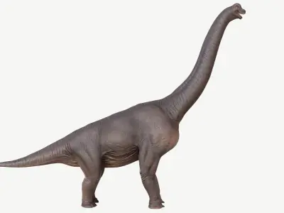 Brachiosaurus dinosaur Low-poly 3D model 3