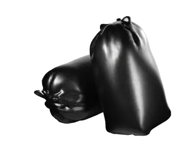 Stuff sack Free low-poly 3D model