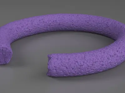 Puller Active Dogs Toy Torn 3D model