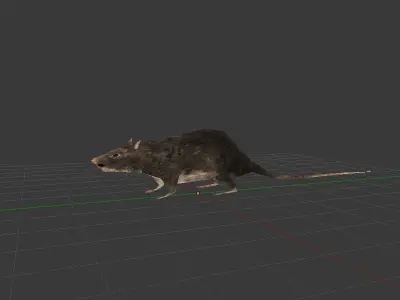Simple Rats bas poly Free low-poly 3D model