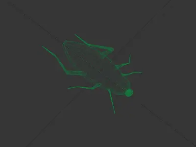 Insect cockroach Free low-poly 3D model