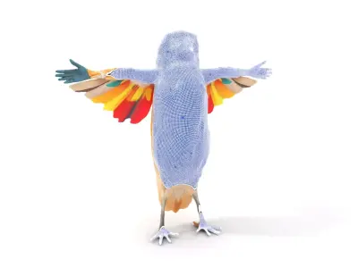 Colorful Owl Hybrid model pack Low-poly 3D model