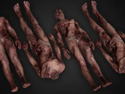Bloody Human Remains Rigged Low-poly 3D model purchase