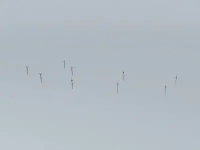 Woolnorth Wind Farm 3 Free 3D model