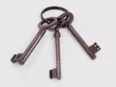 Set of Keys - 3 Rusty Skeleton Keys on Keychain Ring 3D model