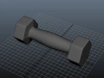 Fitness weight 3D model