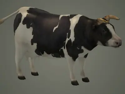 bull animal domestic game lowpoly cow animals 3D model