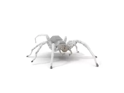 Transparent Spider Glass model pack Low-poly 3D model