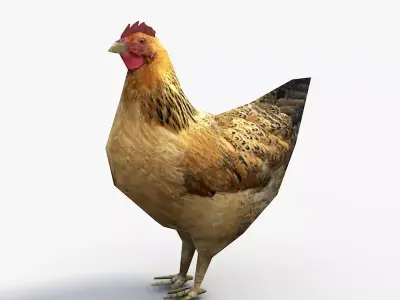 Low Poly Hen rooster Low-poly 3D model