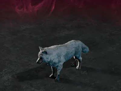 Wolf white 3D model
