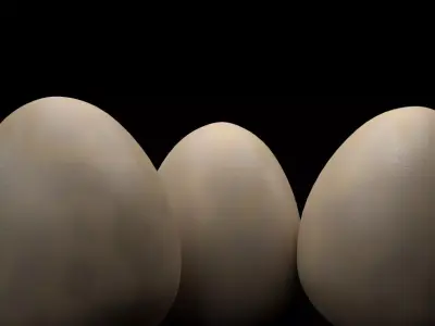 DINOSAUR EGG Low-poly 3D model