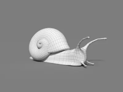 Snail 3D model 4