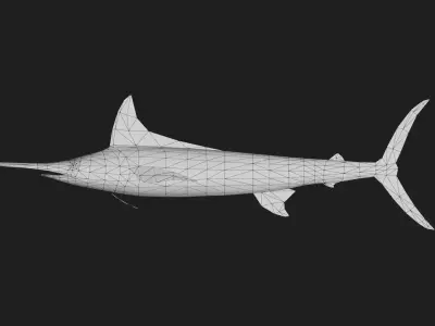 Spearfish Low-poly 3D model purchase