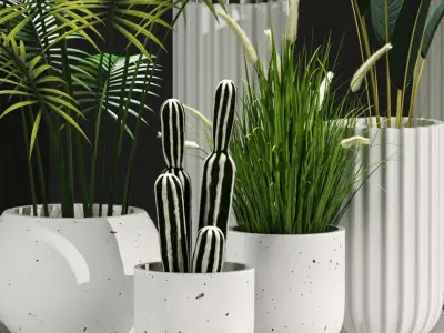 Indoor Plant Set 100 3D model