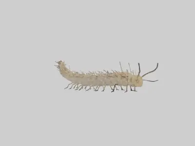 Eastern Tent Caterpillar Low-poly 3D model