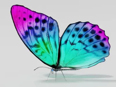 Butterfly rigged lowpoly Free low-poly 3D model