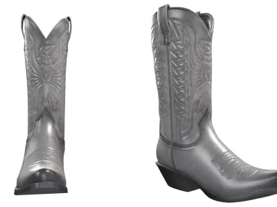 Graphite Western Boots 3D model