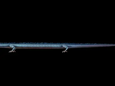 dragon  purchase 3D model
